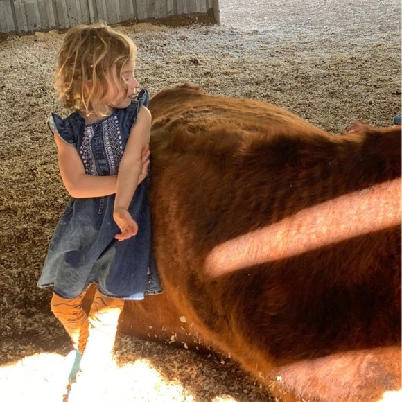 LUCKY BRAND Girls Chambray Dress 4 4T Embroidered Denim Toddler Girl Embroidery - Picture 6 of 6